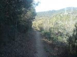 DSC08220.JPG