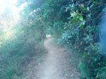 DSC08219.JPG