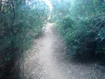 DSC08217.JPG