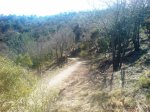 DSC08216.JPG