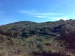 10032012719_1024x768.jpg