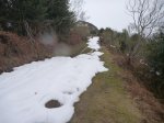 P1090107_800x600.jpg