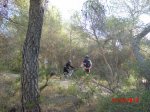 CIMG1253 (Copiar).JPG