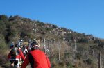 100_0210b.jpg
