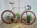 bici_romani600.jpg