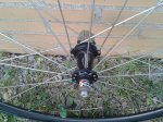 2011-10-03 19.50.43.jpg