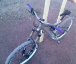 IMG_20120314_173950.jpg