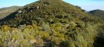 DSCN3948.jpg