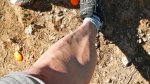 DSCN3991.jpg