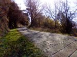 DSC00303.jpg