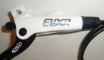 RIMG0464.JPG