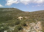 Foto1084 (Copiar).jpg