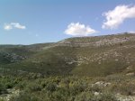 Foto1085 (Copiar).jpg