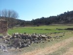 2012-03-18 10.58.43.jpg