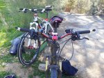 RUTA EL PINAR2.jpg