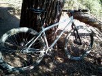 2012-03-18 17.20.09.jpg
