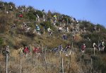 TRANSMARESNE-2012-06 .jpg