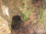 IMG_2227.JPG