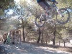 DSCF2017.jpg