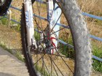 DSC00166.jpg
