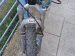 DSC00174.jpg