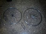 DSC00333.jpg