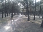 IMAG0494.jpg