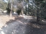 IMAG0495.jpg