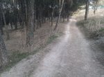 IMAG0496.jpg