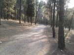 IMAG0497.jpg
