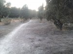 IMAG0498.jpg