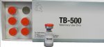 tb-500foto.jpg