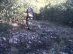 IMG-20120317-00404.jpg