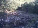 IMG-20120317-00405.jpg