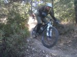 IMG-20120317-00406.jpg