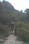 IMG-20120317-00410.jpg