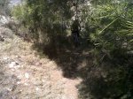 IMG-20120317-00420.jpg