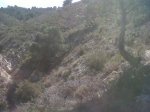 IMG-20120317-00421.jpg