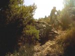 IMG-20120317-00422.jpg