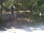 IMG-20120317-00413.jpg