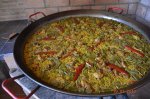 DSC_0253 (Copiar).JPG