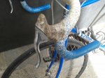 2012-03-19133338.jpg