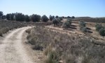 Foto0911.jpg