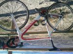 2012-03-20 11.28.27.jpg