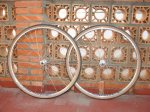 DSC08597.JPG