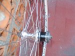 DSC08599.JPG