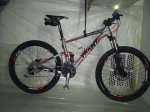 giant 1 210312_800x600.jpg