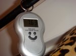 DSC01665.jpg