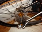 DSC01669.jpg