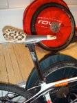 DSC01670.jpg